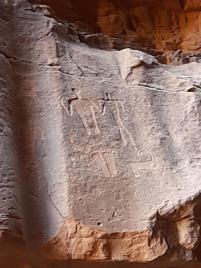 Wadi Rum Camels Camp Exterior photo