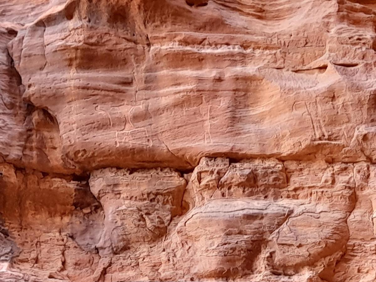 Wadi Rum Camels Camp Exterior photo